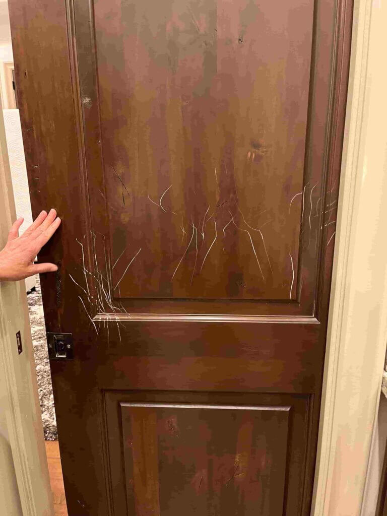 fix Dents in Wooden Doors in Providence