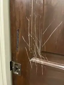 Fix a Scratched or Scuffed Door Surface