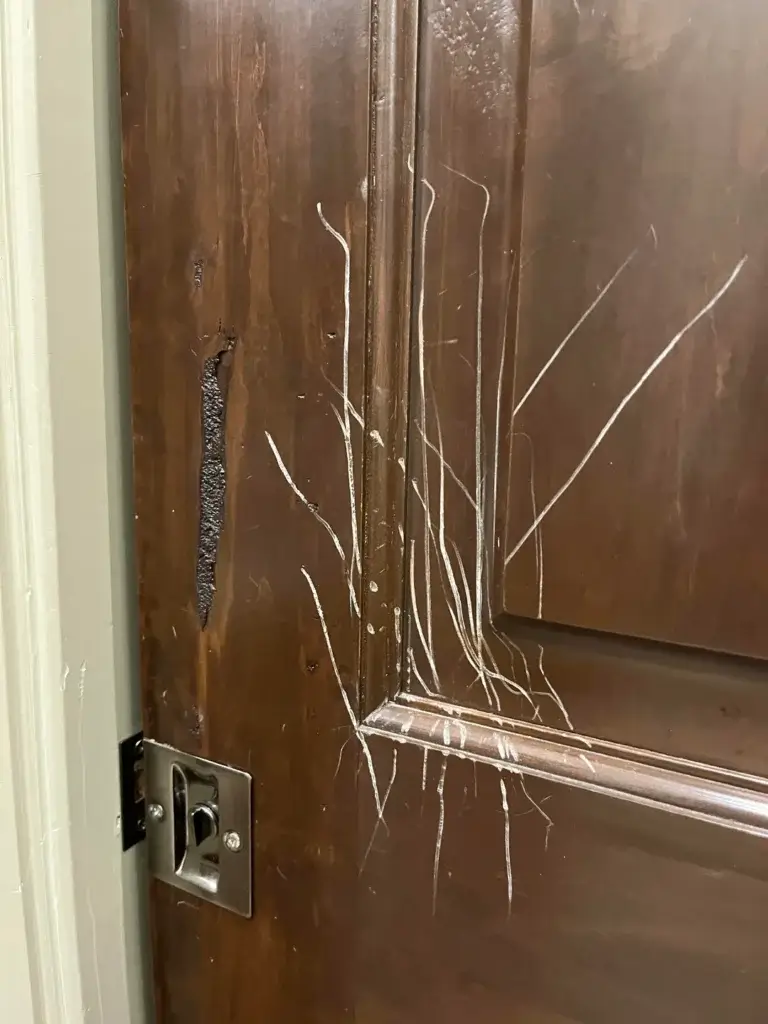 Fix a Scratched or Scuffed Door Surface